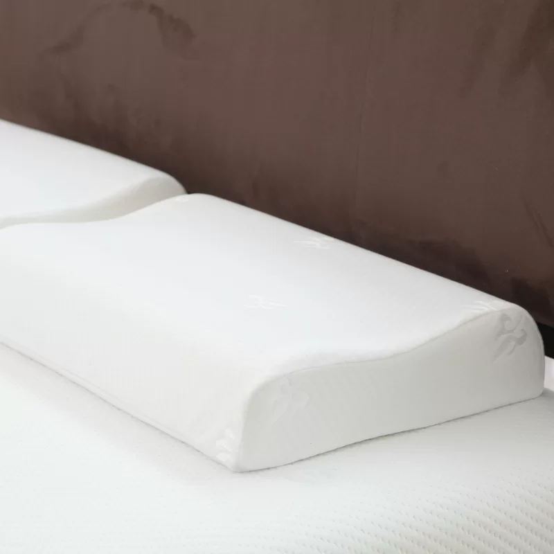 The Remedy Contour Pillow